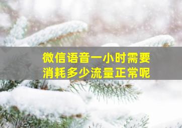 微信语音一小时需要消耗多少流量正常呢