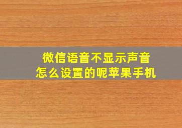 微信语音不显示声音怎么设置的呢苹果手机