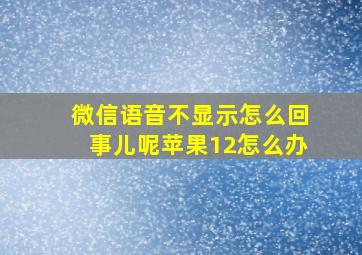 微信语音不显示怎么回事儿呢苹果12怎么办