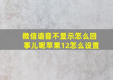 微信语音不显示怎么回事儿呢苹果12怎么设置