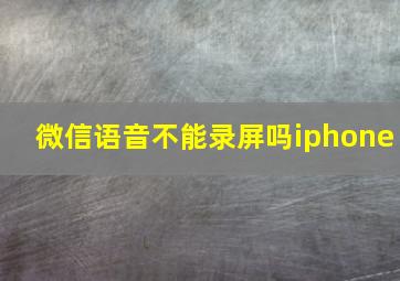 微信语音不能录屏吗iphone