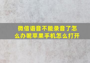 微信语音不能录音了怎么办呢苹果手机怎么打开