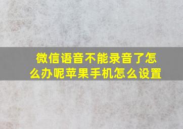 微信语音不能录音了怎么办呢苹果手机怎么设置