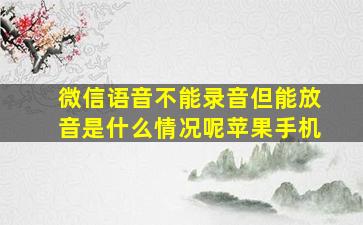 微信语音不能录音但能放音是什么情况呢苹果手机