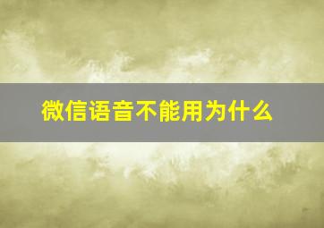 微信语音不能用为什么