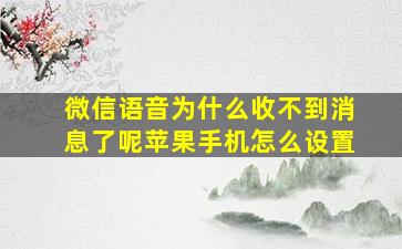 微信语音为什么收不到消息了呢苹果手机怎么设置