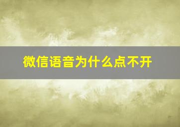 微信语音为什么点不开