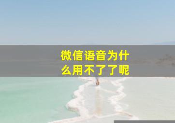 微信语音为什么用不了了呢