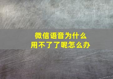 微信语音为什么用不了了呢怎么办