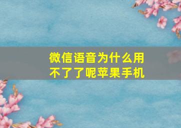 微信语音为什么用不了了呢苹果手机