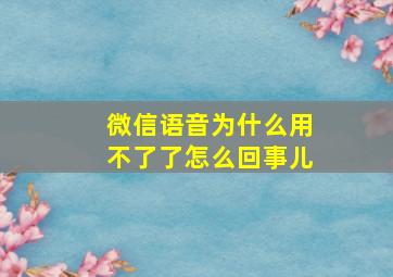 微信语音为什么用不了了怎么回事儿