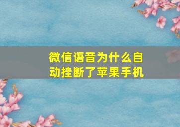 微信语音为什么自动挂断了苹果手机