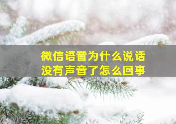 微信语音为什么说话没有声音了怎么回事