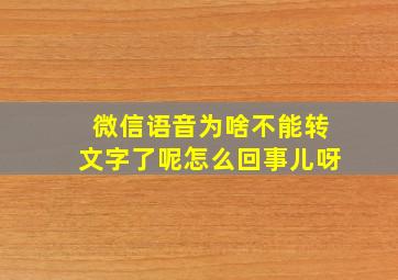 微信语音为啥不能转文字了呢怎么回事儿呀