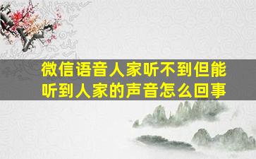 微信语音人家听不到但能听到人家的声音怎么回事