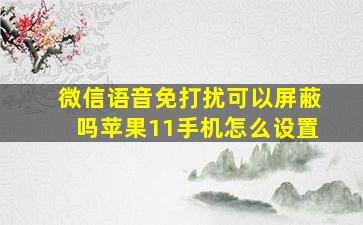 微信语音免打扰可以屏蔽吗苹果11手机怎么设置