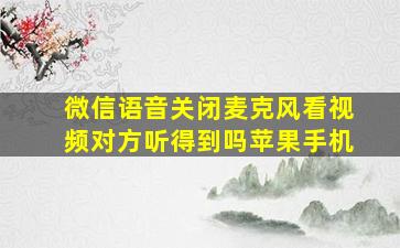 微信语音关闭麦克风看视频对方听得到吗苹果手机