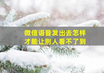 微信语音发出去怎样才能让别人看不了到