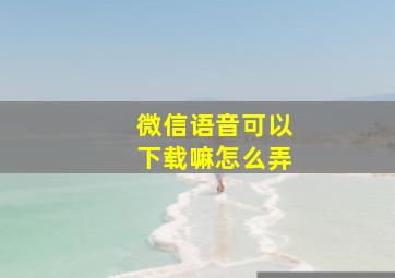 微信语音可以下载嘛怎么弄