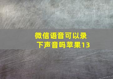 微信语音可以录下声音吗苹果13