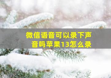 微信语音可以录下声音吗苹果13怎么录