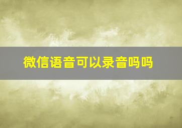 微信语音可以录音吗吗