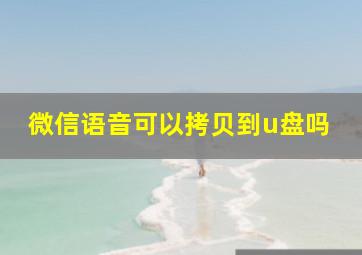 微信语音可以拷贝到u盘吗