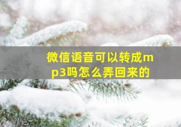 微信语音可以转成mp3吗怎么弄回来的