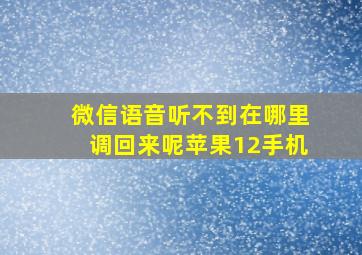 微信语音听不到在哪里调回来呢苹果12手机