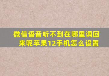 微信语音听不到在哪里调回来呢苹果12手机怎么设置