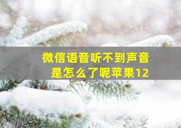 微信语音听不到声音是怎么了呢苹果12