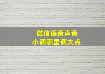 微信语音声音小调哪里调大点