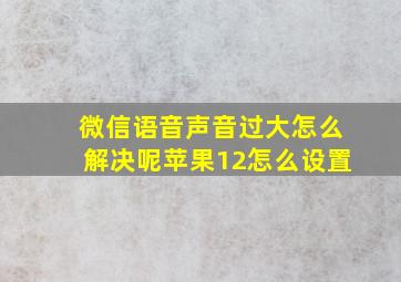 微信语音声音过大怎么解决呢苹果12怎么设置