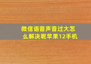 微信语音声音过大怎么解决呢苹果12手机