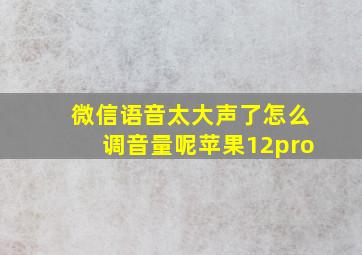 微信语音太大声了怎么调音量呢苹果12pro