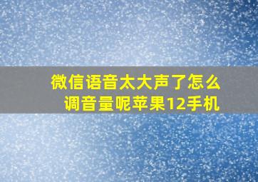 微信语音太大声了怎么调音量呢苹果12手机