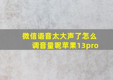 微信语音太大声了怎么调音量呢苹果13pro