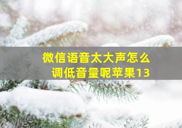 微信语音太大声怎么调低音量呢苹果13