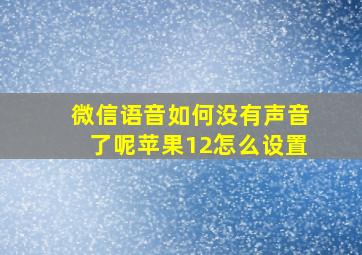 微信语音如何没有声音了呢苹果12怎么设置