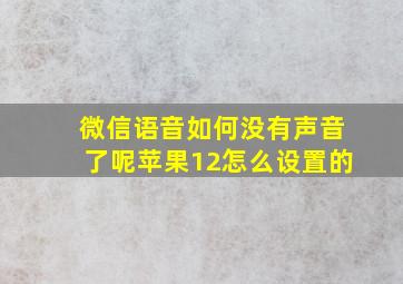 微信语音如何没有声音了呢苹果12怎么设置的