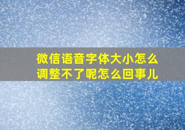 微信语音字体大小怎么调整不了呢怎么回事儿