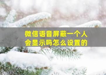 微信语音屏蔽一个人会显示吗怎么设置的