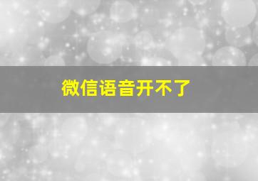 微信语音开不了