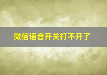 微信语音开关打不开了