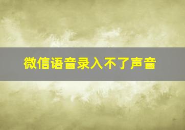 微信语音录入不了声音