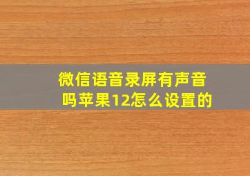 微信语音录屏有声音吗苹果12怎么设置的