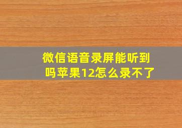 微信语音录屏能听到吗苹果12怎么录不了