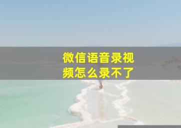 微信语音录视频怎么录不了