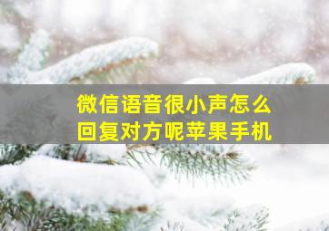 微信语音很小声怎么回复对方呢苹果手机