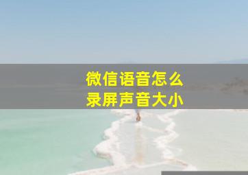 微信语音怎么录屏声音大小